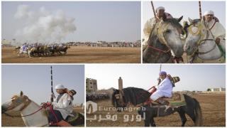 25 ألف زائر و70 سربة وعدة سيدي يحيى تصنع الحدث