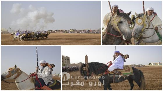 25 ألف زائر و70 سربة وعدة سيدي يحيى تصنع الحدث