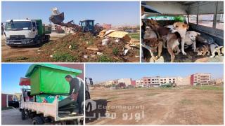 حملة ميدانية واسعة للقضاء على النقط السوداء والتصدي لظاهرة الكلاب الضالة