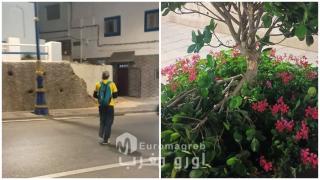 الحسيمة.. سلوك تخريبي يستهدف شجرة بالفضاء العام ويثير استياء المواطنين