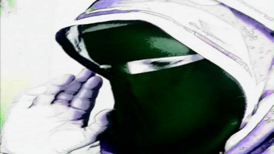 قصيدة للادبية المصرية مهجة محمد فرح ….أميرة في انتقامي….