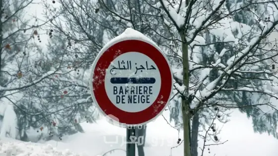 ردوا البال.. على موعد مع تساقطات ثلجية هامة ابتداءً من الثلاثاء المقبل